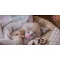 BATH TOWEL 70 X 140 CM KITTEN TNL181013-R