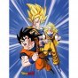 FLEECE BLANKET 130 X 170 CM DRAGON BALL DB-1865FB