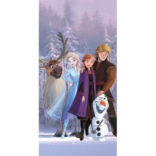 RĘCZNIK KĄPIELOWY PLAŻOWY 70 X 140 CM DISNEY FROZEN FROZEN12223-R