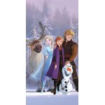 RĘCZNIK KĄPIELOWY PLAŻOWY 70 X 140 CM DISNEY FROZEN FROZEN12223-R