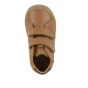 TRZEWIKI FRODDO OLLIE S STAR COGNAC