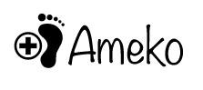 Producent Ameko
